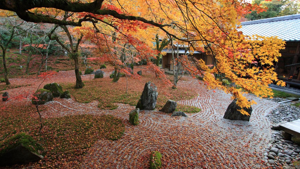 秋の石庭