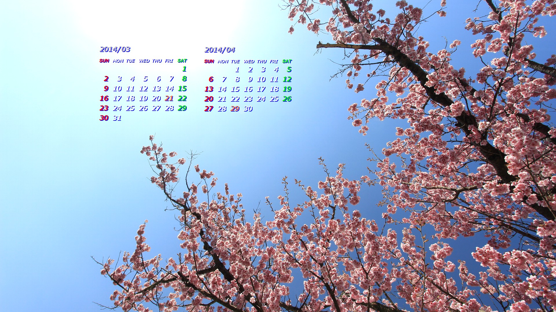 椿寒桜 カレンダー壁紙館 昴 無料ワイド