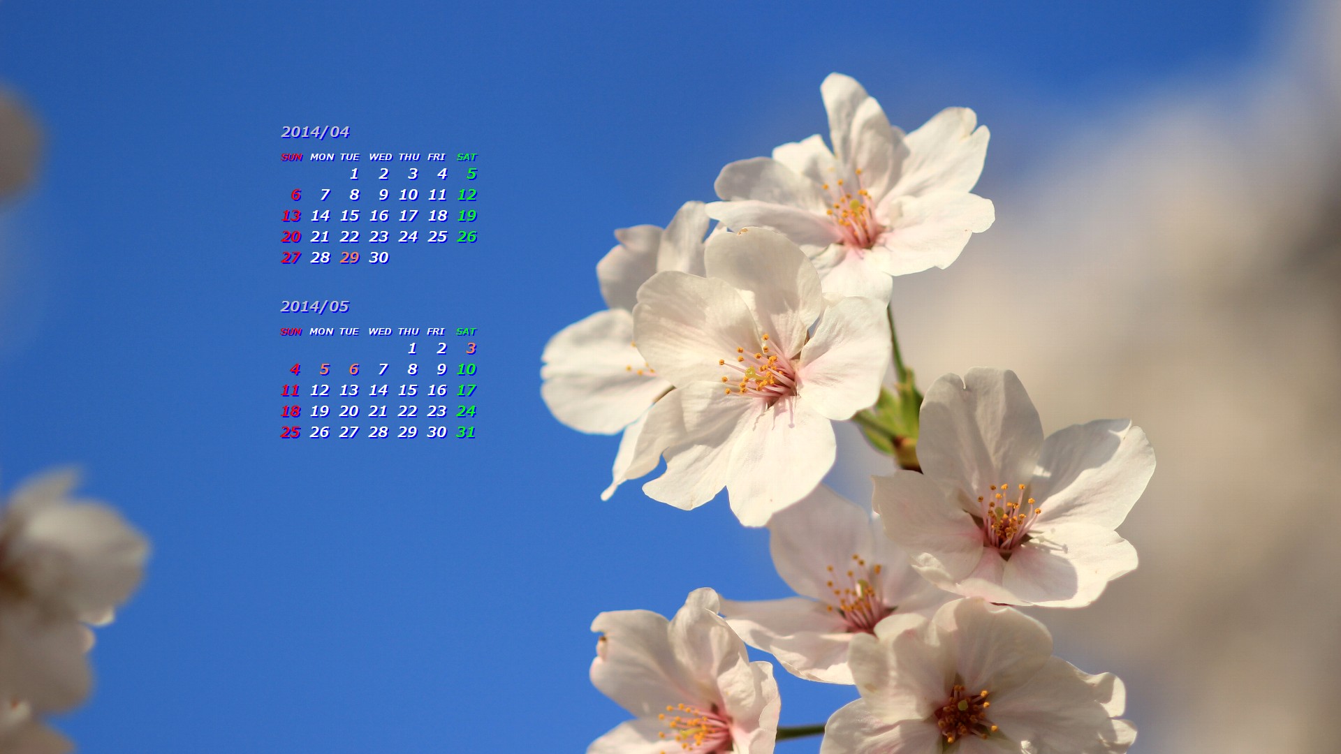 桜と青空 ２０１４年４月５月カレンダー壁紙 カレンダー壁紙館 昴 無料ワイド