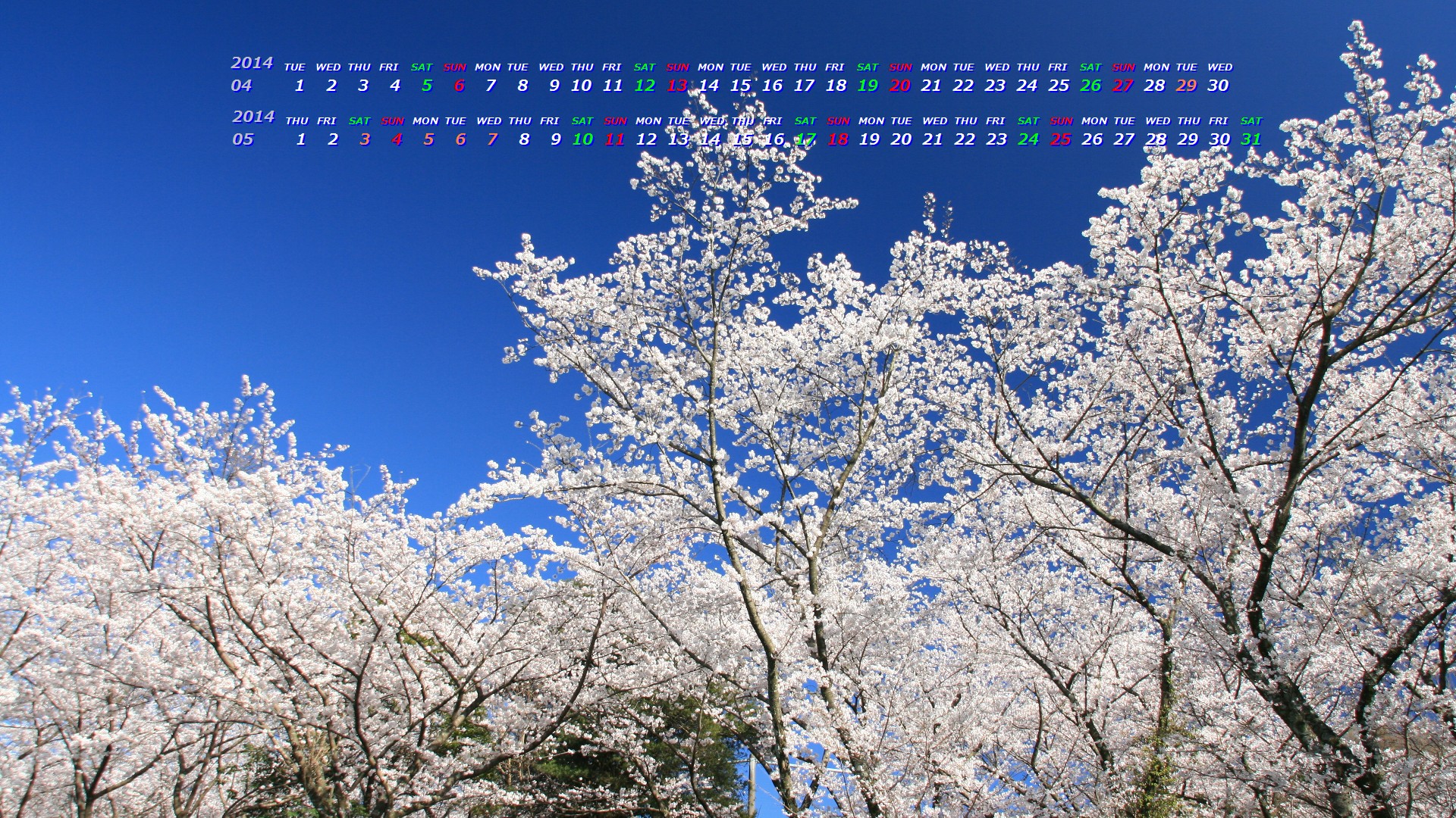 桜 ２０１４年４月５月無料カレンダー壁紙 カレンダー壁紙館 昴 無料ワイド