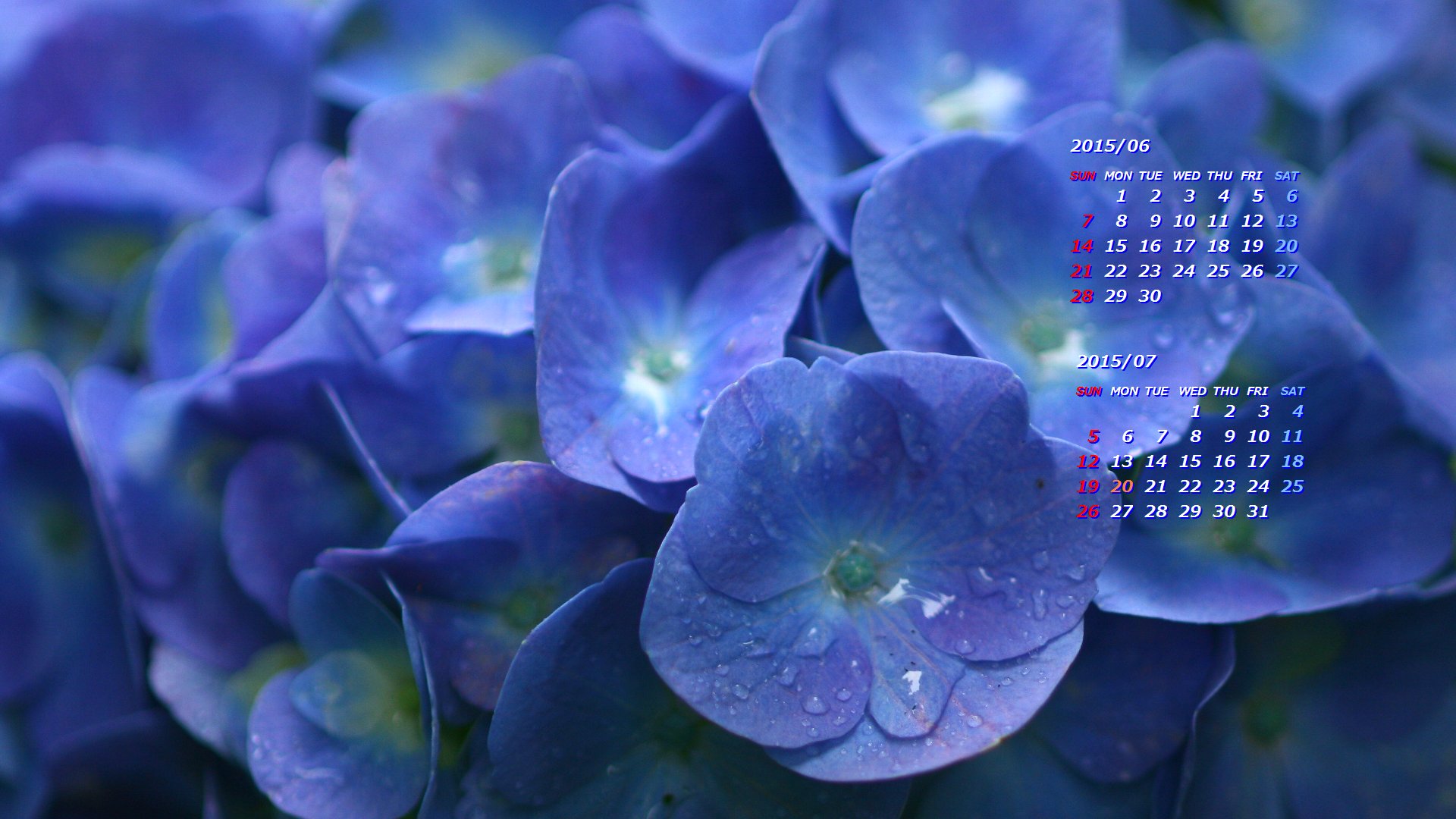雨と紫陽花 2 カレンダー壁紙館 昴 無料ワイド