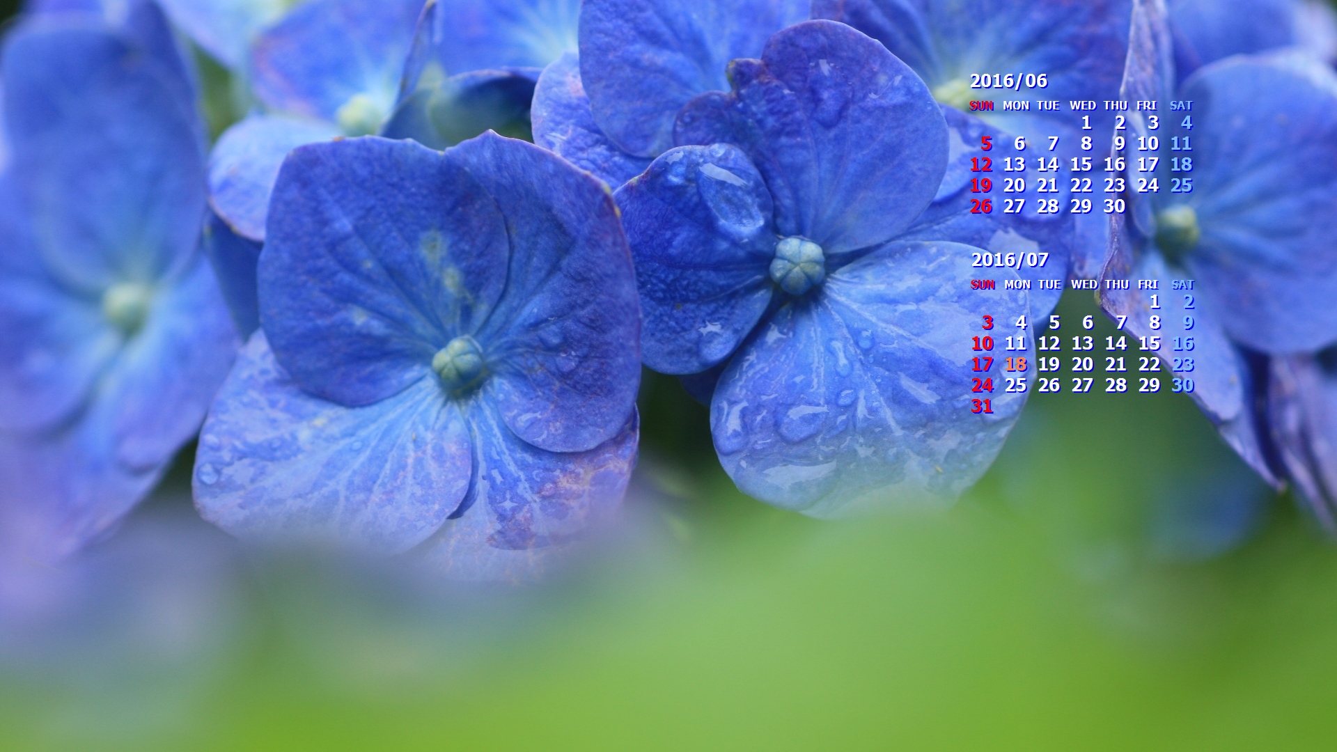 紫陽花の壁紙 カレンダー壁紙館 昴 無料ワイド