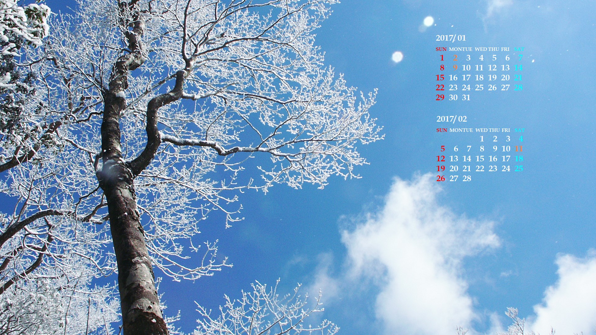 青空とさわやかな霧氷 17年1月カレンダー壁紙 カレンダー壁紙館 昴 無料ワイド