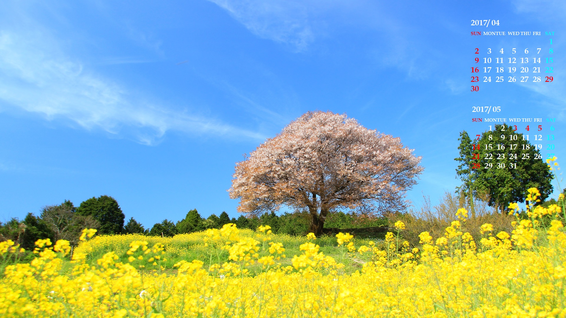 壁紙 かべがみ Japanese English Dictionary Japaneseclass Jp