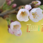 2018年4月カレンダー壁紙