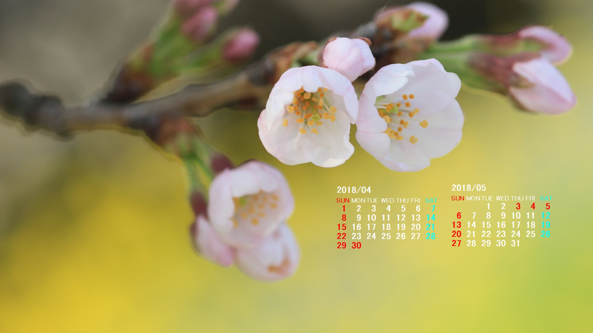 2018年4月カレンダー壁紙 カレンダー壁紙館 昴 無料ワイド