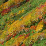 2018年9月カレンダー壁紙