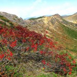 22018年9月カレンダー壁紙