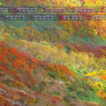 雨飾山の紅葉（フルｈｄ1920ｘ1080・2013年10月11月カレンダー壁紙）