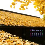 2013年11月カレンダー壁紙（屋根を黄色に染める下城の大イチョウ）