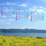 池田湖の菜の花（2014年2月カレンダー壁紙・1920×1080）