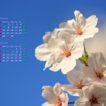 桜と青空（２０１４年４月５月カレンダー壁紙）