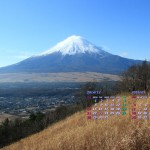 カレンダー壁紙/高座山から富士山をのぞむ