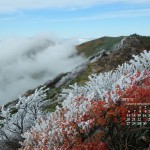 紅葉と霧氷の谷川岳