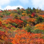 紅葉真っ盛りの安達太良山